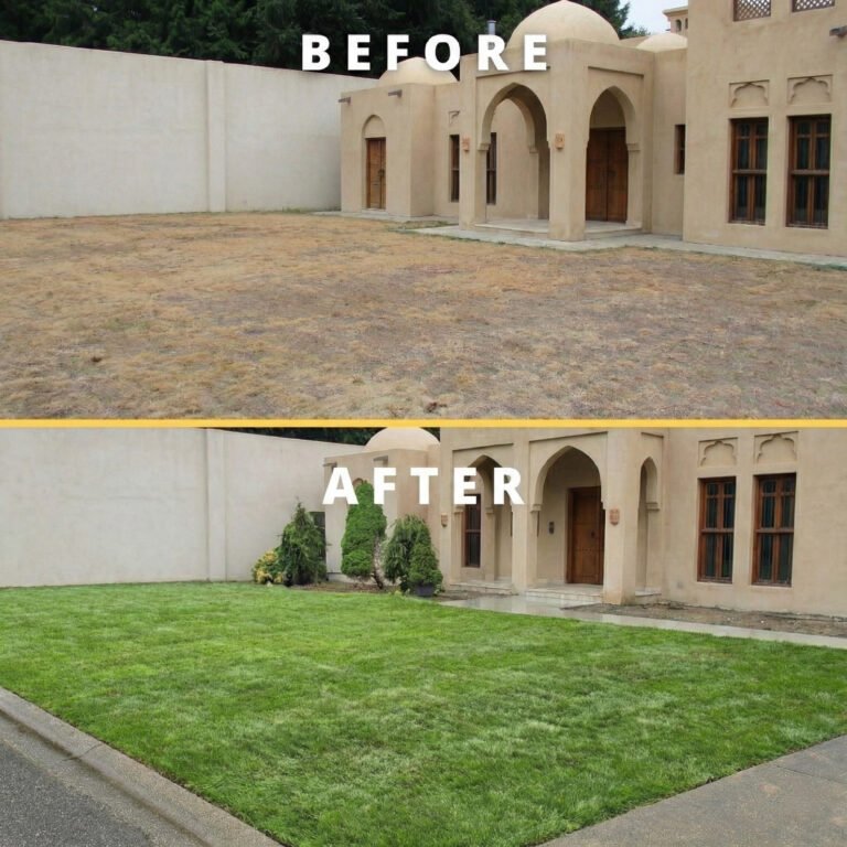 Before and after transformation of a garden with artificial grass installation by HomeGeek services